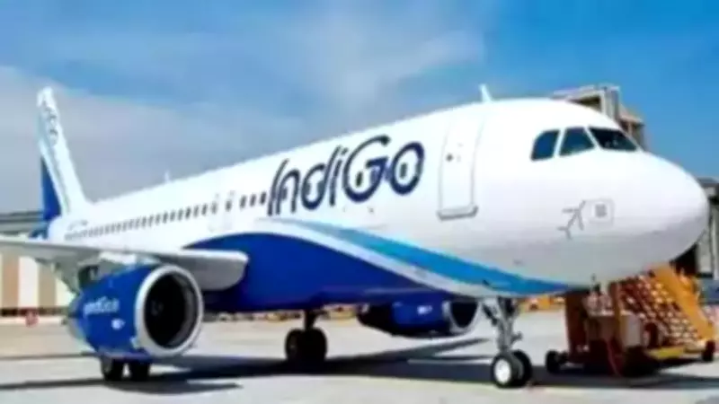 IndiGo Flight Returns After Bird Hit During Takeoff from Bengaluru
