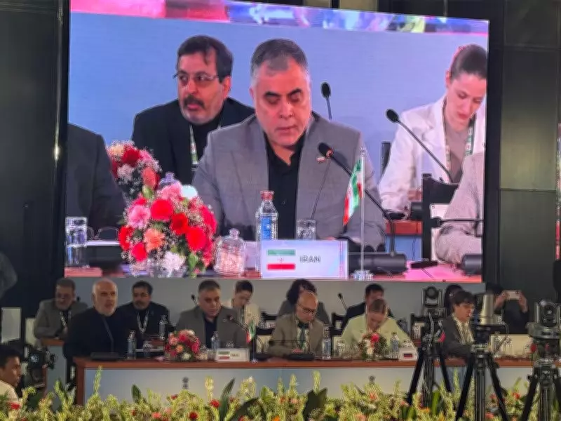 Iran Energy Minister Highlights Sector Challenges at 11th BRICS Meeting