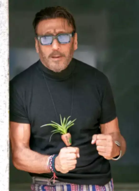 Jackie Shroff Wishes Mithun Chakraborty on 76th Birthday, Remembers Hemant Kumar