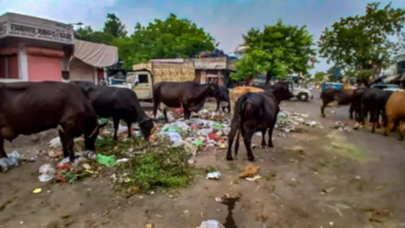 Jaipur Struggles with Garbage Segregation Despite Supreme Court Directive