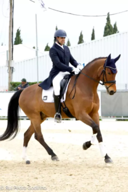 Jalandhar Equestrian Jai Sud Aims for Asian Games After Strong European Shows