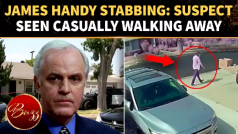 James Handy Tragedy: Chilling Footage Surfaces After Fatal Stabbing