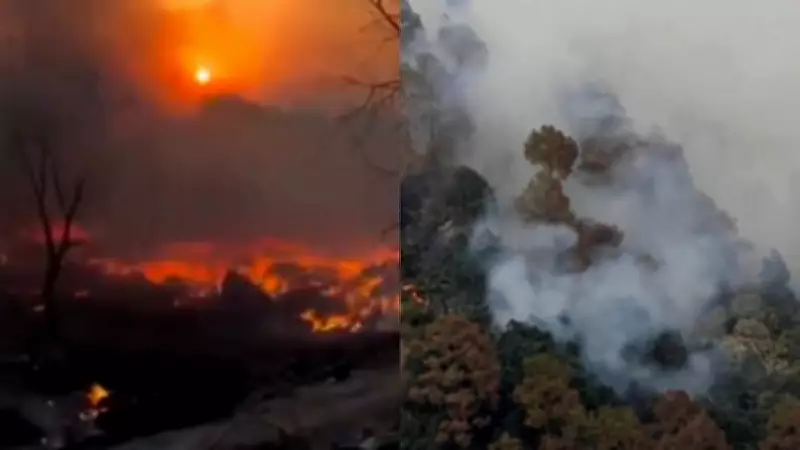 Jammu & Kashmir: Kathua Fire Razed 24 Hutments, Rajouri Forest Blaze Caused Landmine Blasts