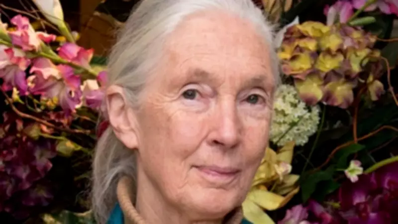 Jane Goodall Quote: Change Happens by Listening and Dialogue