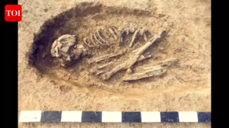 Japan's 'Ushikawa Man' Fossils Revealed as Bear Bones After 70 Years