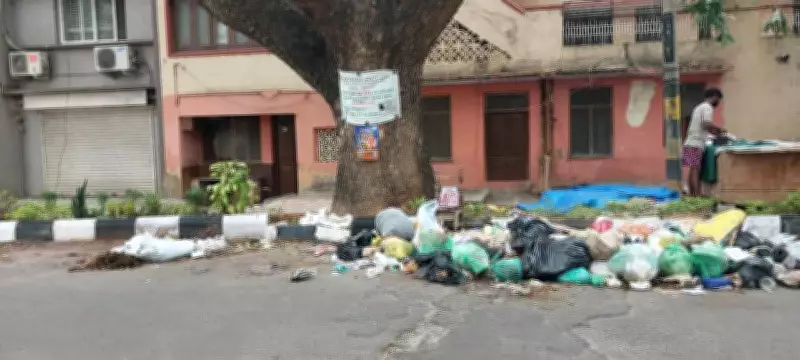 Jayanagar 2nd Block battles mounting garbage crisis amid irregular collection