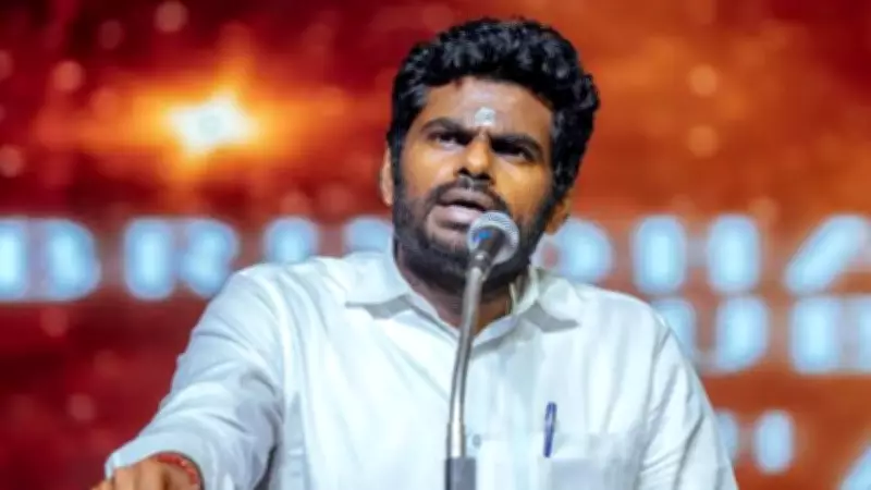K Annamalai meets BJP chief amid speculation over leaving party