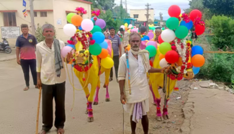 Kara Hunnime: Rain Deficit Doesn't Dampen Farmers' Festival Spirit in Kalaburagi