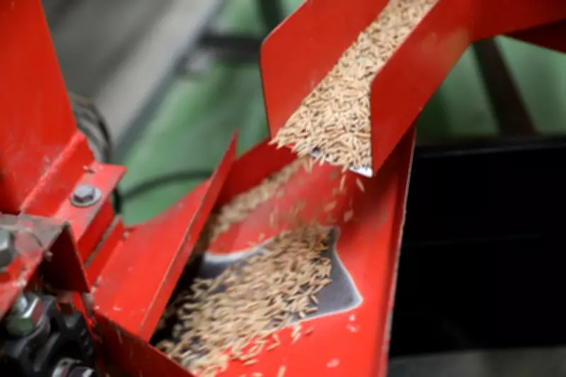 Karnal Forms 6 Panels to Monitor CMR Delivery in Rice Mills Ahead of Deadline