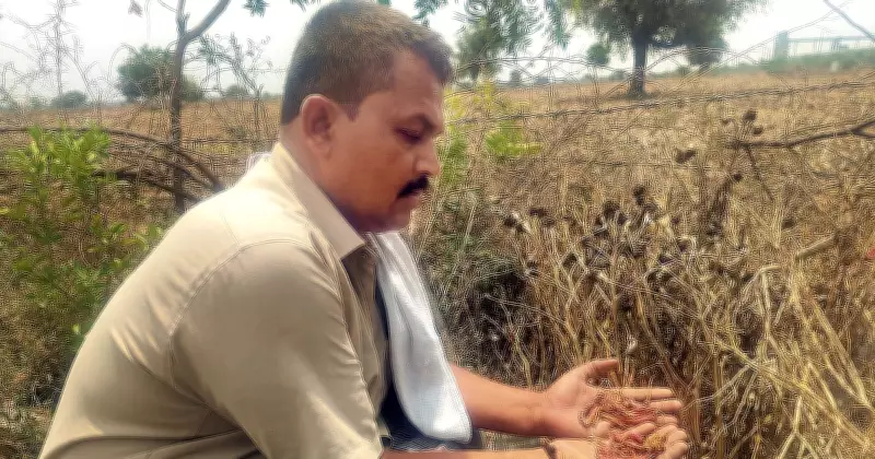 Karnataka Cement Units Pollute Kalaburagi Villages, KSPCB Chief Acknowledges Complaints