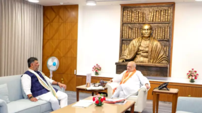 Karnataka CM Shivakumar Meets Amit Shah, Seeks Central Help for Law Order
