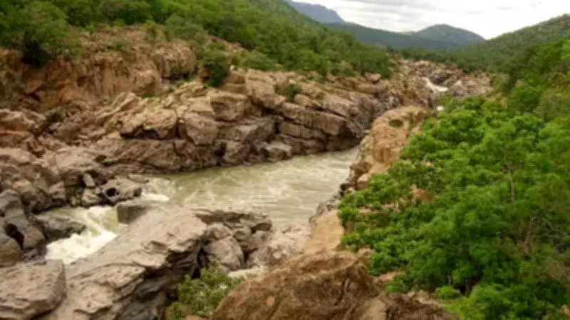 Karnataka DCs Directed to Identify 12,600 Acres for Mekedatu Afforestation