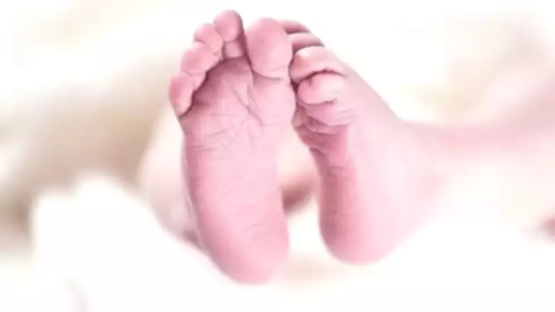 Karnataka: Falling Coconut Kills Baby in Mother's Arms