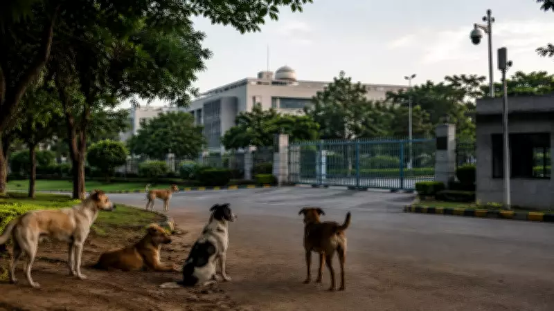 Karnataka HC orders probe into 21 dogs vanishing from DRDO campus