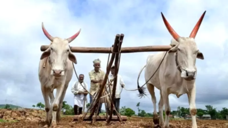 Karnataka Rashtra Samithi Chief Booked for Remarks on Farmers