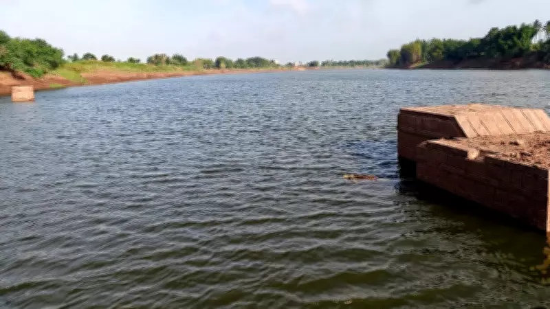 Karnataka Releases 5,000 Cusecs of Water into Krishna River