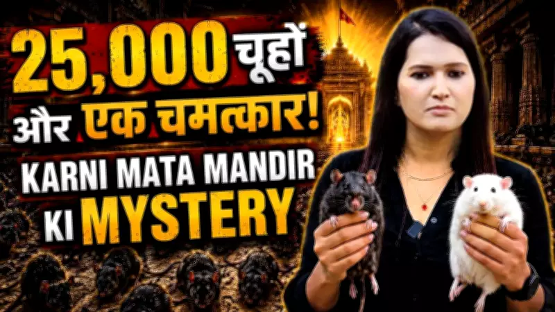 Karni Mata Temple: The Sacred Rats of 25,000 Kabas Revealed