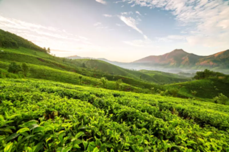 Kerala Budget Unveils Land Reforms 2.0, Land Bank and Faster Conversion