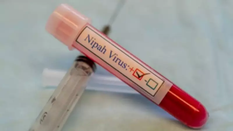 Kerala Nipah Patient Critical, No New Cases Reported