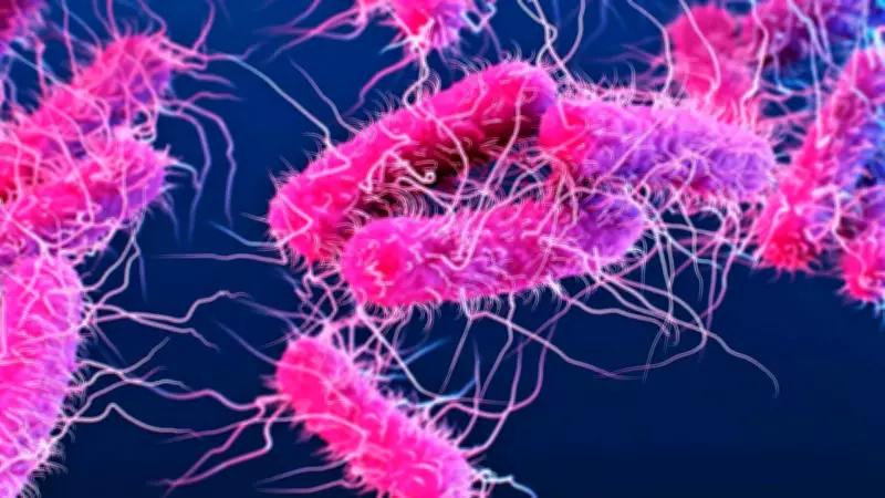 Kerala Shigella Death Toll Rises to 6, 140 Cases in June
