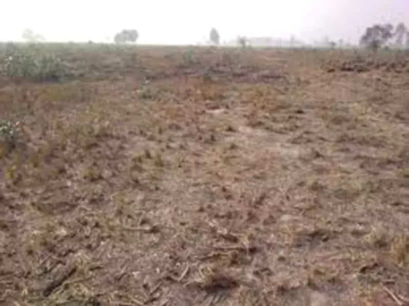 Khanna SDM Bans Sale of Land with Fake NOCs in Ludhiana