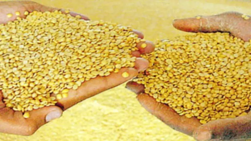 Kharif Sowing Lags Significantly Across India as Monsoon Remains Weak