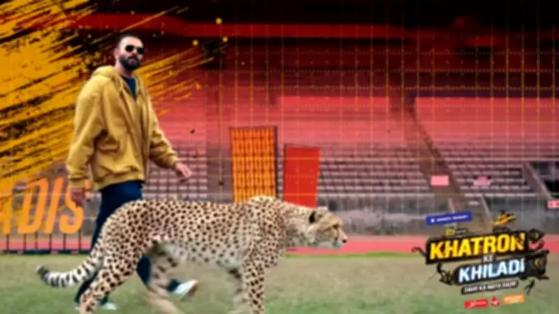 Khatron Ke Khiladi 15 Premiere Date Announced: When and Where to Watch