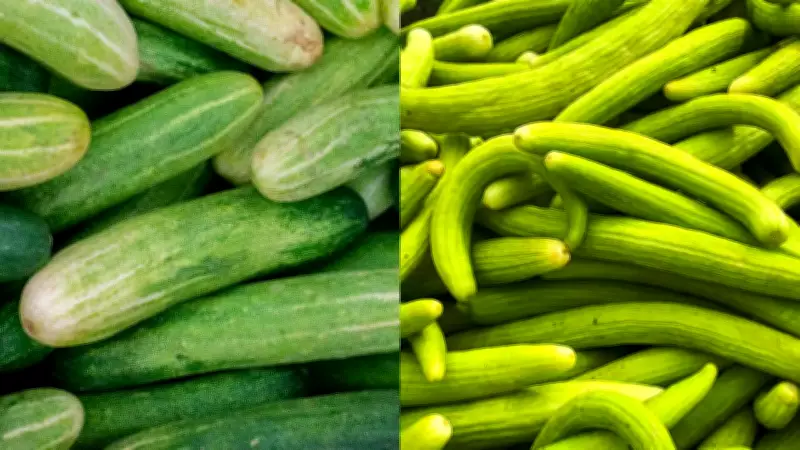Kheera vs Kakdi: Which Summer Veggie Hydrates Better and Daily Intake
