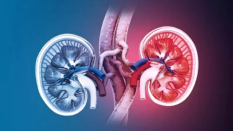 Kidney Cancer Risk: Do Genes Play a Role? New Data Reveals
