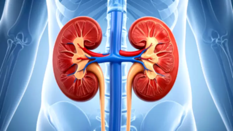 Kidney Disease: Global Burden, Early Detection, and New Treatments