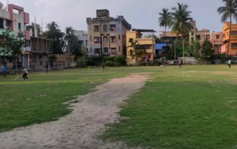 Kolkata Couple Assaulted, Woman Molested for Taking Pet Dogs to Playground