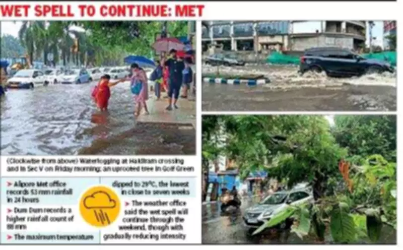 Kolkata Gets 53mm Rain, Temp Dips to 29°C; Waterlogging Hits Traffic