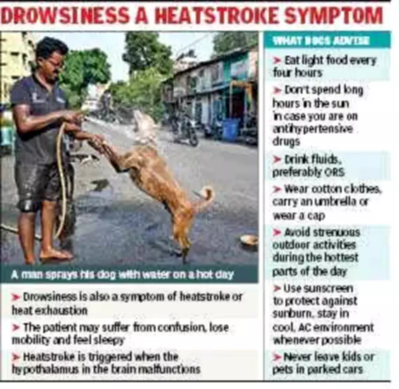 Kolkata Heat and Humidity Spike Causes Heat Exhaustion, Drowsiness