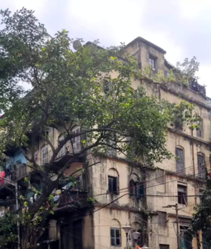 Kolkata Police Seeks Remand for Egg Attackers to Uncover Modus Operandi