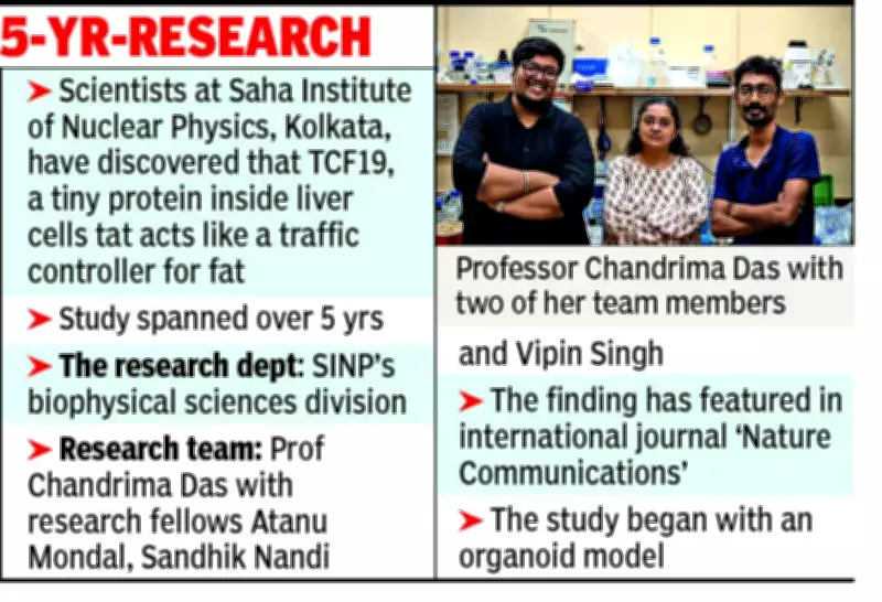 Kolkata Scientists Discover Liver Protein TCF19 That Converts Harmful Fat to Safe Form
