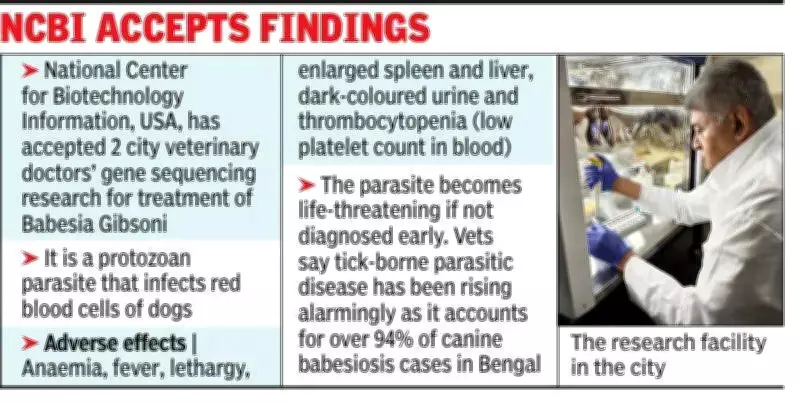 Kolkata Vets' Gene Sequencing Breakthrough for Canine Parasite Accepted by NCBI
