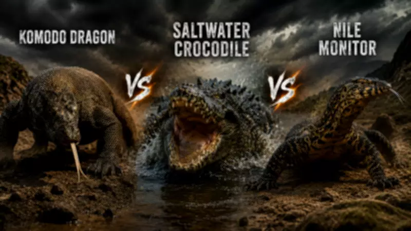 Komodo Dragon vs Saltwater Crocodile vs Nile Monitor: Apex Predator Comparison