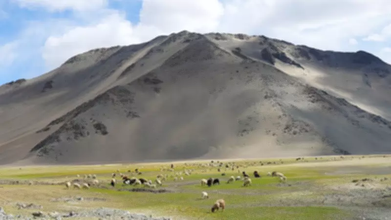 Ladakh Tourism Rebounds with 43% Surge in Visitor Numbers in 2026