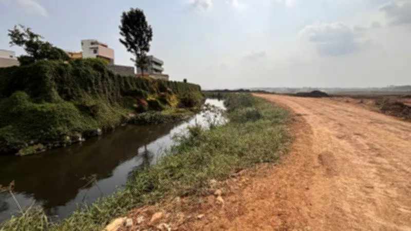 Lake Restoration in Bengaluru: Why Most Fixes Fall Short