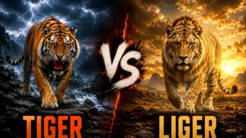 Liger vs Tiger: Size, Strength, and Survival Compared in Detailed Analysis