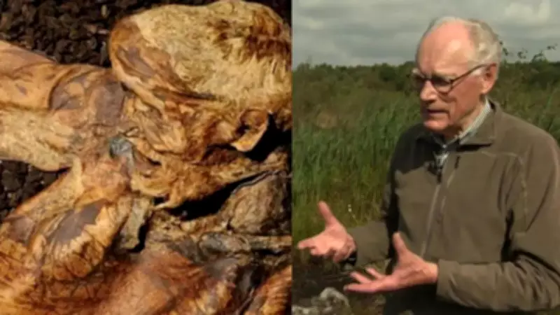 Lindow Man: Secrets of Britain's Bog Body from the Iron Age
