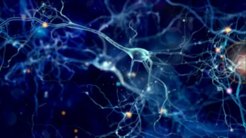 Lithium Deficiency Linked to Alzheimer's: Landmark Harvard Study