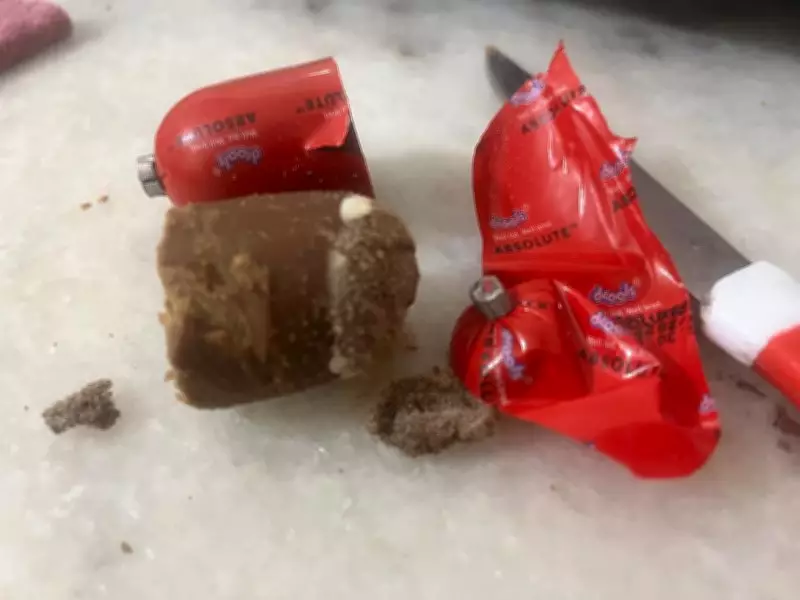 Live worms in Drools dog food: Chandigarh woman gets Rs 10,000 compensation
