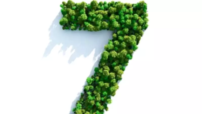 Love Lessons Written in Your Birth Number: Numerology Insights