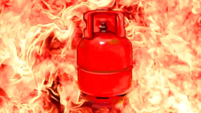 LPG Cylinder Blast in Delhi: Four Injured at Food Stall