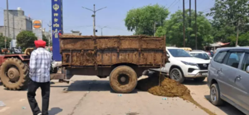 Ludhiana Dairy Farmers Block Road with Cow Dung Over Sewage Crisis