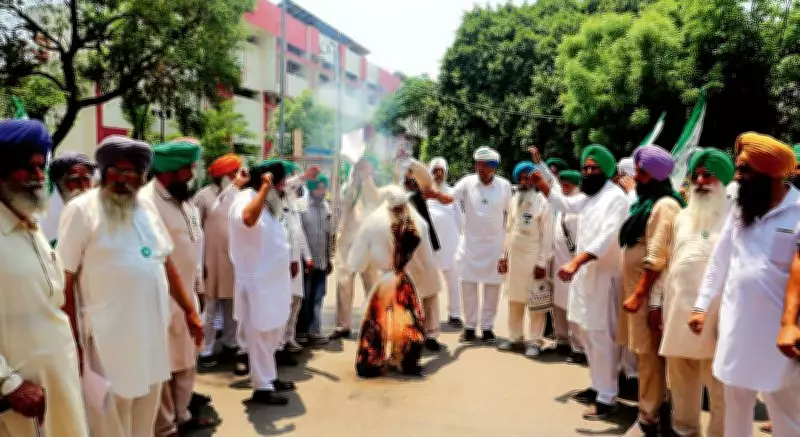 Ludhiana farmers burn Trump effigy, oppose India-US trade pact