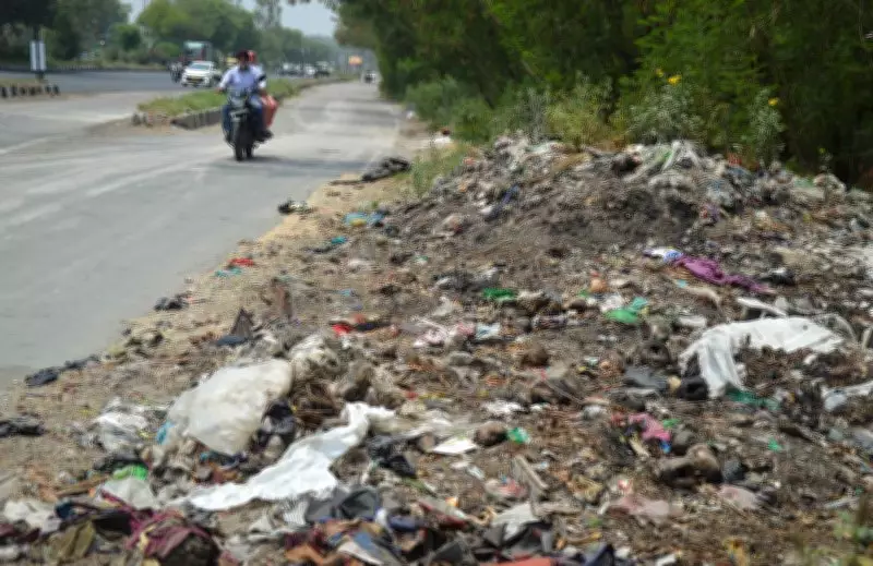 Ludhiana Residents Fume Over Waste Dumping Along NH-44 Near Tiger Safari