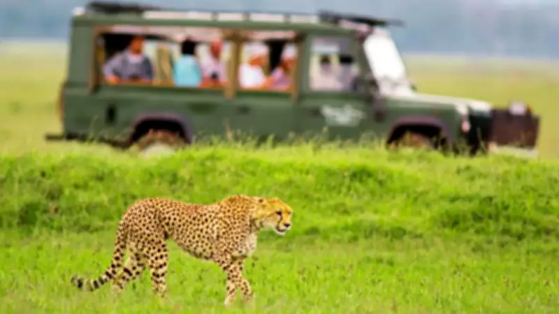 Luxury Redefined: Why Affluent Travelers Are Choosing African Safaris Over Opulent Resorts
