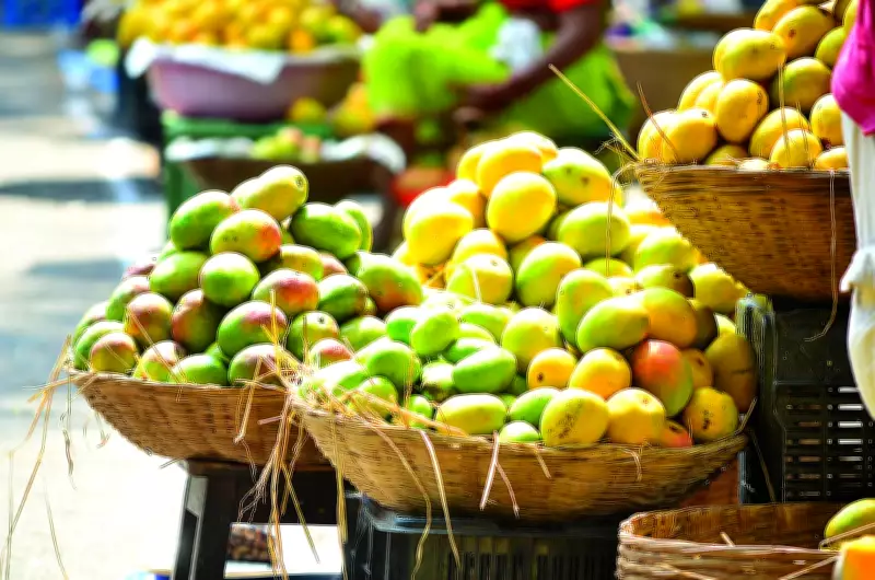 Maang-hilario Mango Prices Surge to Rs 900/Dozen in Goa as Season Ends